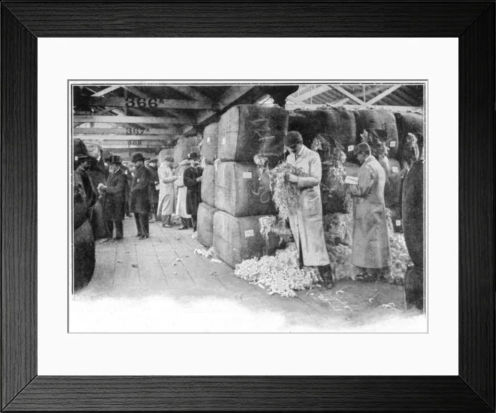 Framed Print : Buyers sampling wool at London Docks Framed Print : Buyers sampling wool at London Docks