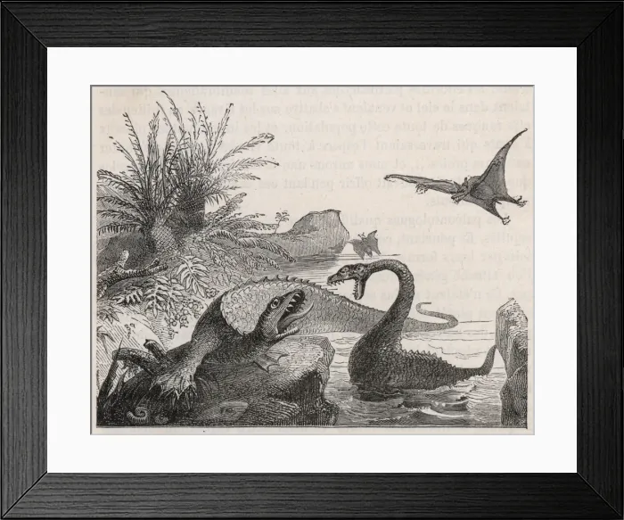 Framed Print : Ichthyosaurus, with Plesiosaur and Pterodactyls Framed Print : Ichthyosaurus, with Plesiosaur and Pterodactyls
