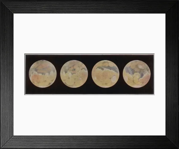 Framed Print : Different aspects of the planet Mars Framed Print : Different aspects of the planet Mars