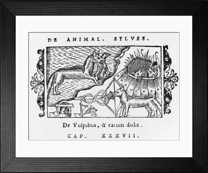 Framed Print : Wolves in 16th century Scandinavia Framed Print : Wolves in 16th century Scandinavia