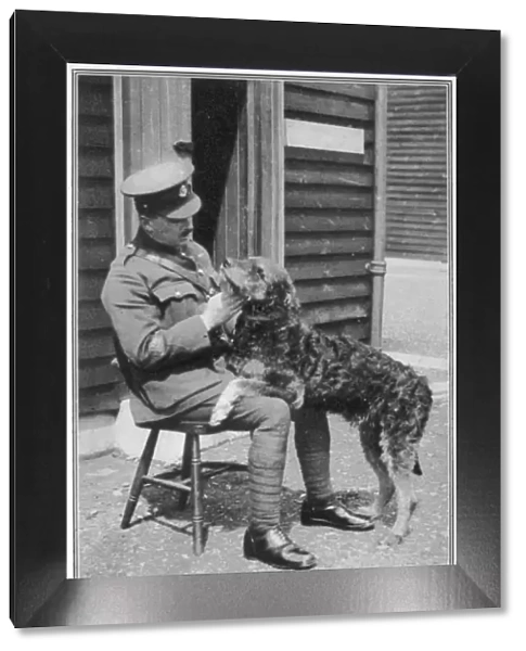 Military police Airedale dog at Aldershot