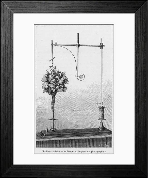Framed Print : Florists device for fastening bouquets of flowers Framed Print : Florists device for fastening bouquets of flowers