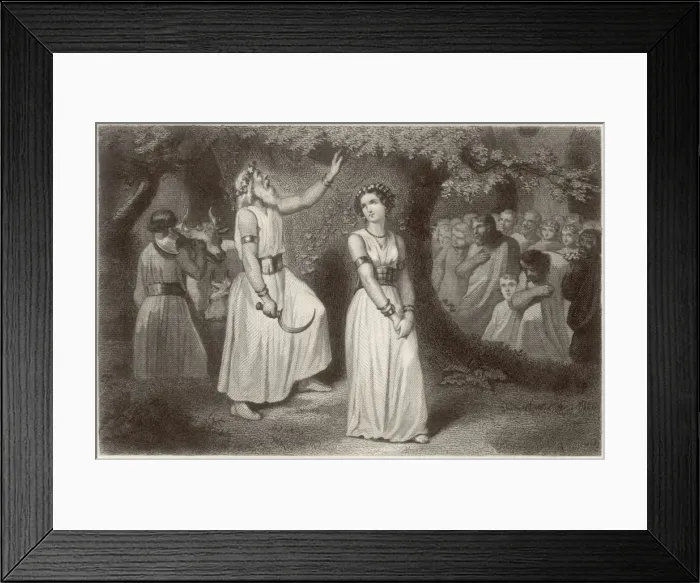 Framed Print : Druids gathering the sacred mistletoe Framed Print : Druids gathering the sacred mistletoe