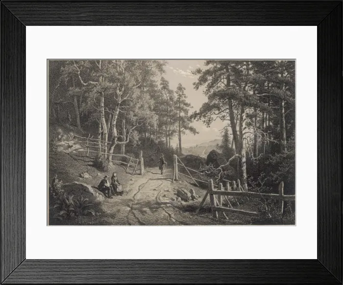 Framed Print : Sweden / Scenery / Skogen Framed Print : Sweden / Scenery / Skogen
