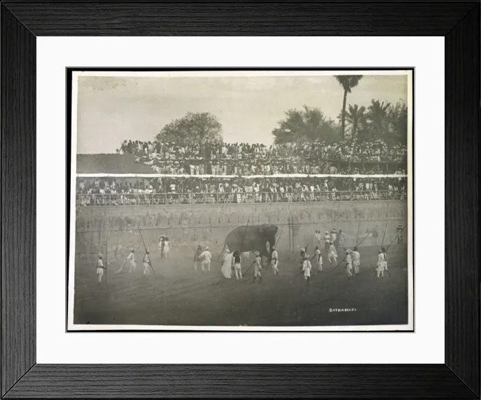 Framed Print : Elephant Fight / Baroda Framed Print : Elephant Fight / Baroda