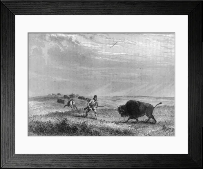 Framed Print : Hunting / Buffalo 1856 Framed Print : Hunting / Buffalo 1856