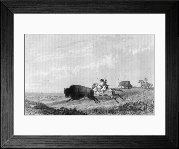 Framed Print : Buffalo Hunt, Missouri Framed Print : Buffalo Hunt, Missouri