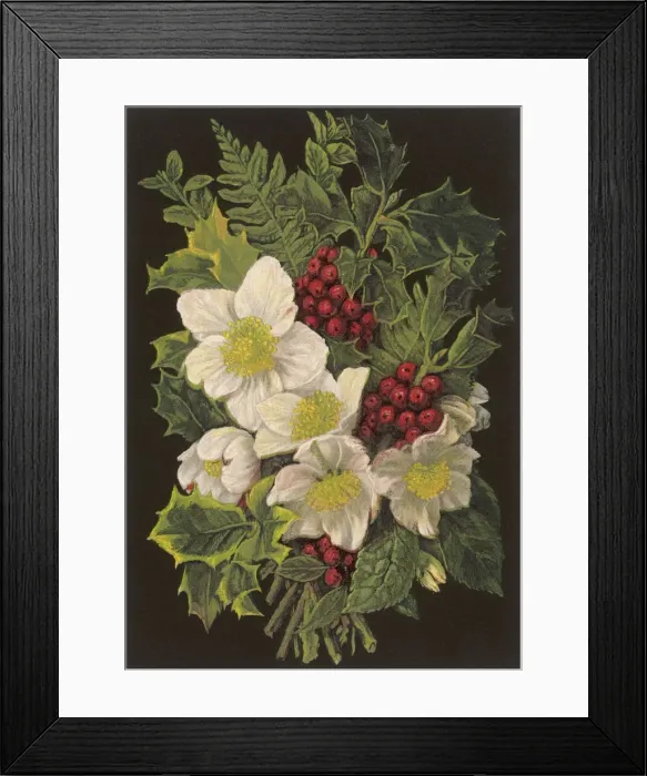 Framed Print : Winter Plants 1880 Framed Print : Winter Plants 1880