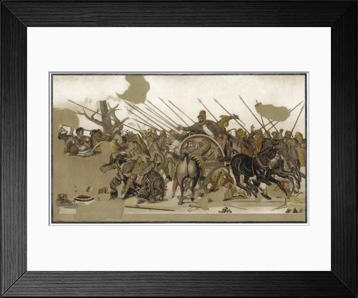 Framed Print : Alexander V Darius Framed Print : Alexander V Darius