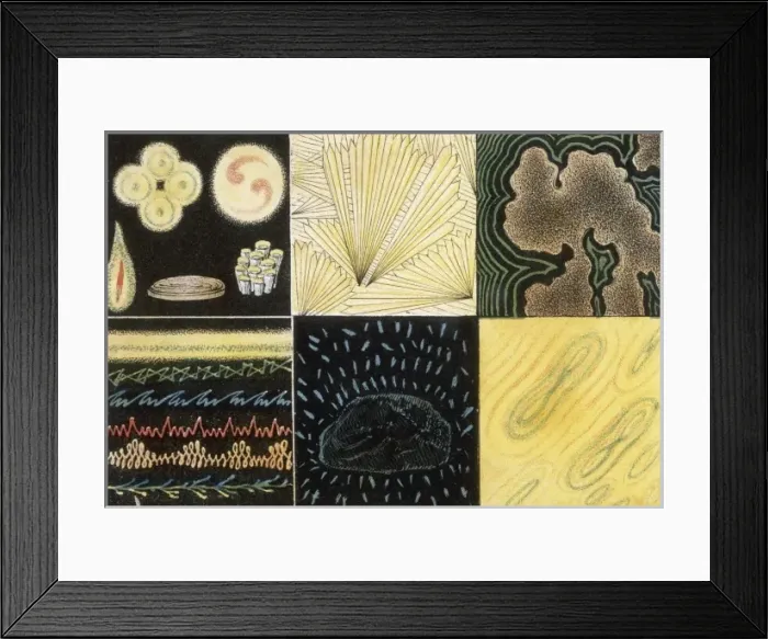 Framed Print : Hypnagogic Images Framed Print : Hypnagogic Images