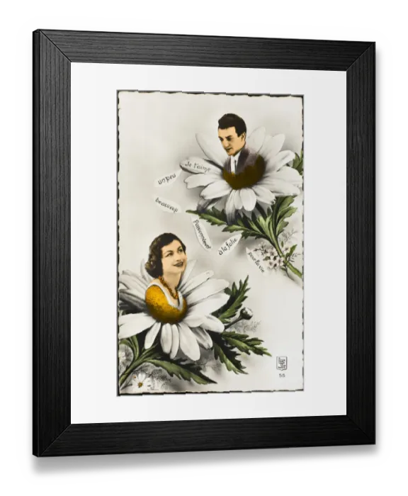 Framed Print : Plants / Decorative Floral Framed Print : Plants / Decorative Floral
