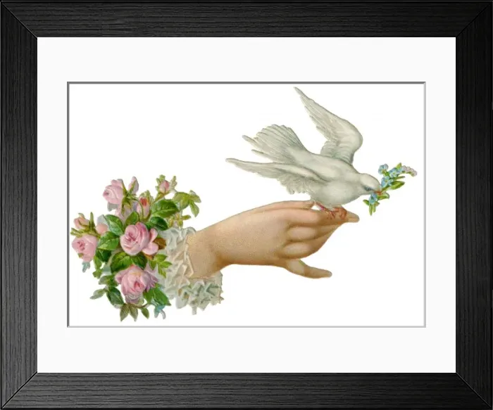 Framed Print : Hand and Dove Framed Print : Hand and Dove