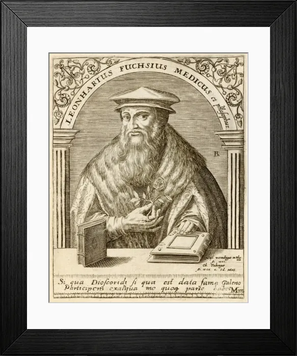 Framed Print : Leonhard Fuchs Framed Print : Leonhard Fuchs