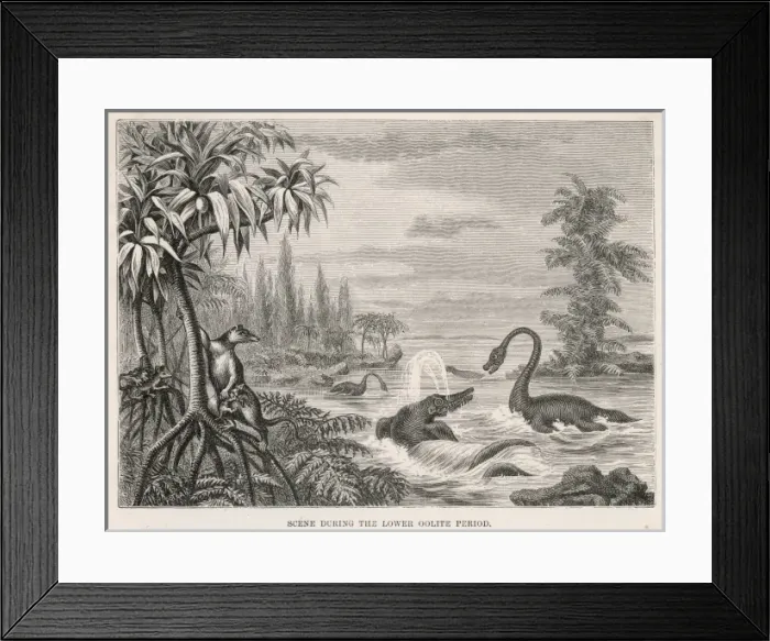 Framed Print : Extinct Plesiosaur Framed Print : Extinct Plesiosaur