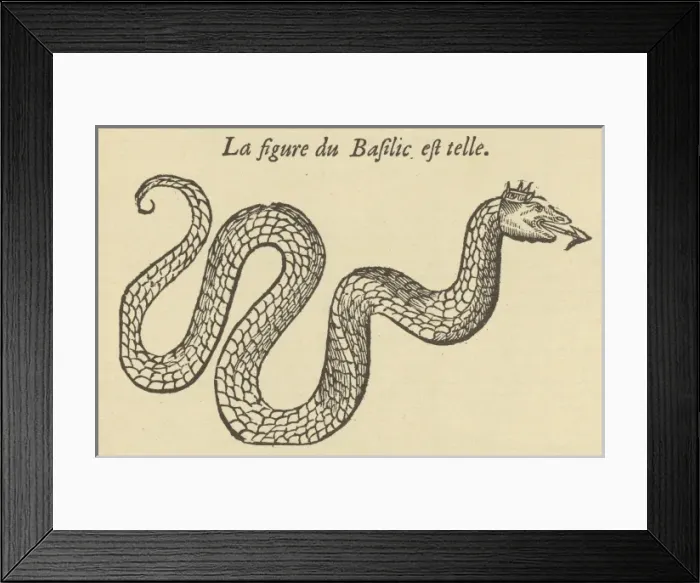 Framed Print : Folklore / Basilisk Framed Print : Folklore / Basilisk