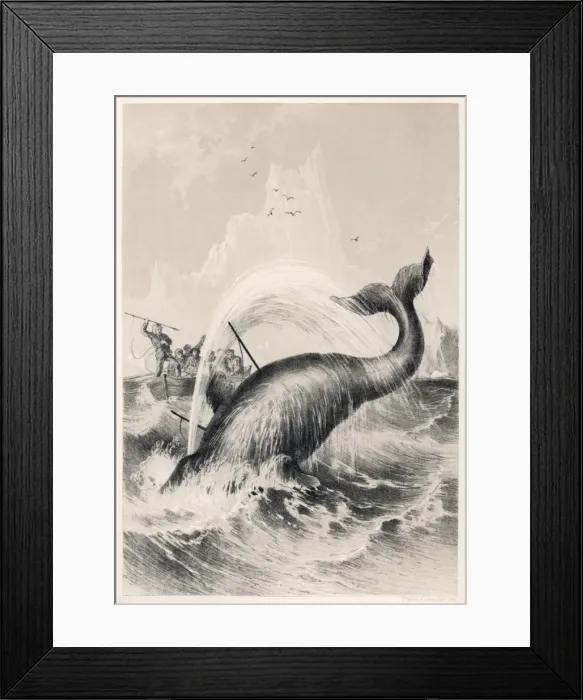 Framed Print : Whaling / Sir John Ross Framed Print : Whaling / Sir John Ross
