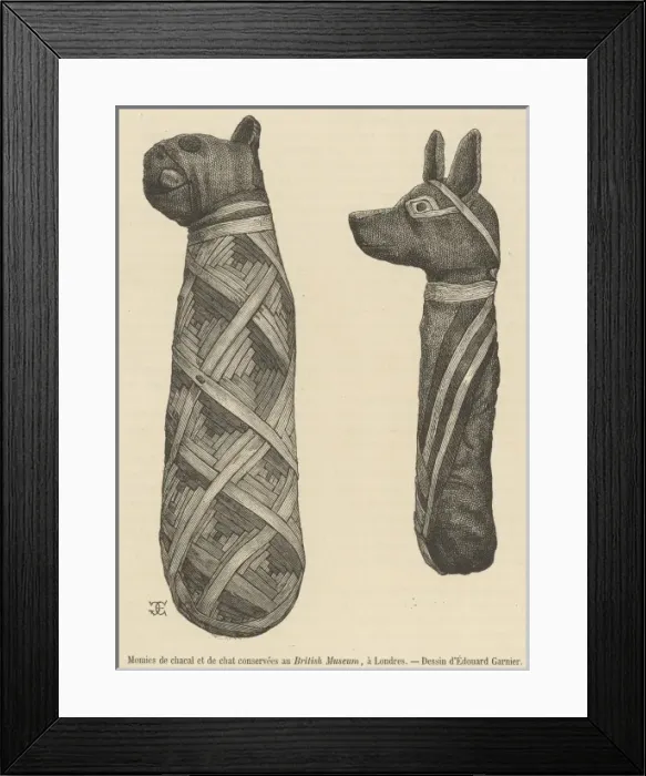 Framed Print : Egypt / Mummies / Mag Pittor Framed Print : Egypt / Mummies / Mag Pittor