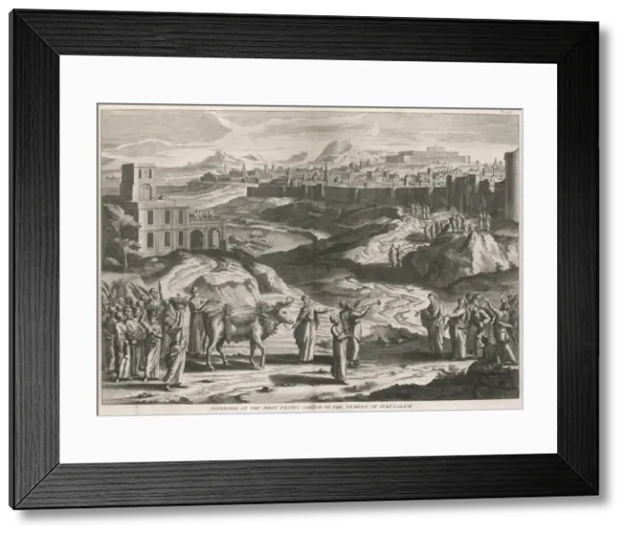 Framed Print : First Fruits Framed Print : First Fruits