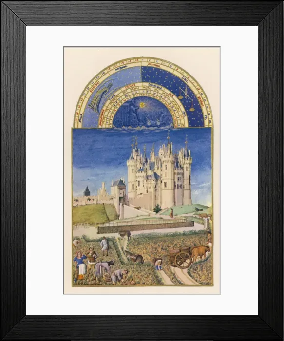 Framed Print : Wine Harvest, Saumur Framed Print : Wine Harvest, Saumur