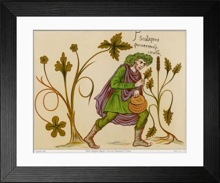 Framed Print : Asklepios Finds Betony Framed Print : Asklepios Finds Betony
