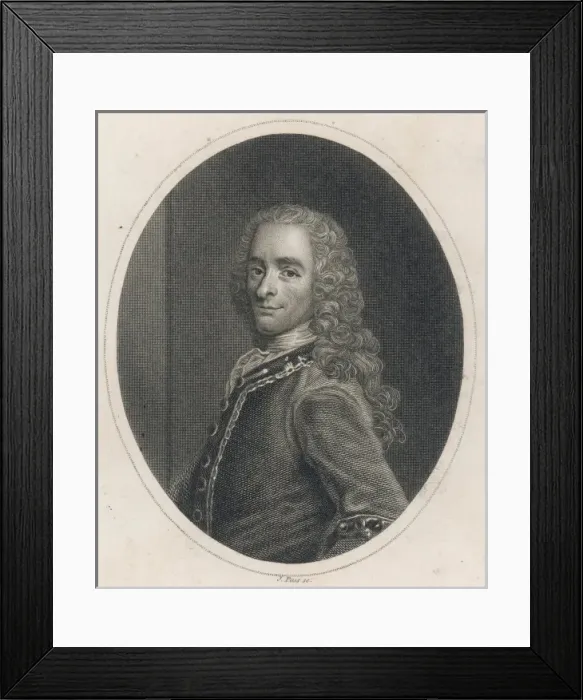 Framed Print : Voltaire (Pass) Framed Print : Voltaire (Pass)