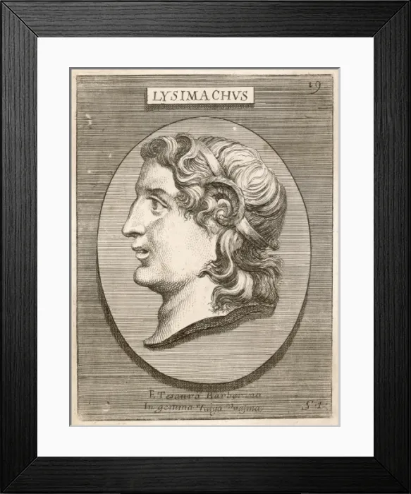 Framed Print : Lysimachus, General Framed Print : Lysimachus, General