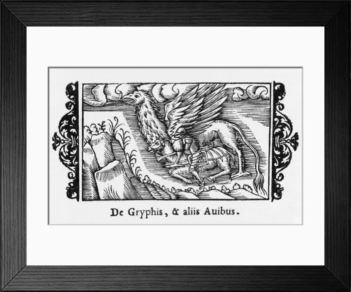 Framed Print : Folklore / Gryphon Framed Print : Folklore / Gryphon