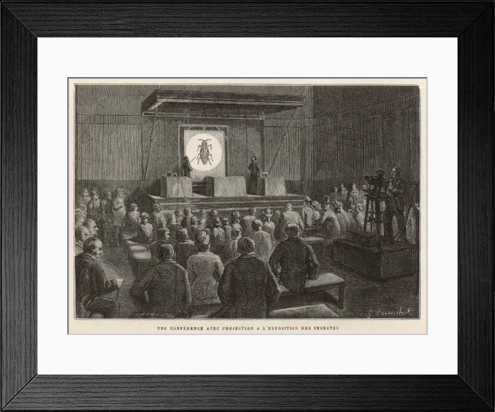 Framed Print : Entomological Lecture Framed Print : Entomological Lecture