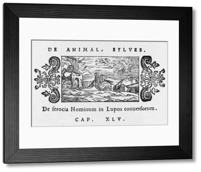 Framed Print : Flying Werewolves Framed Print : Flying Werewolves