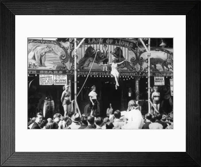 Framed Print : Lady of the Lions / Fair Framed Print : Lady of the Lions / Fair