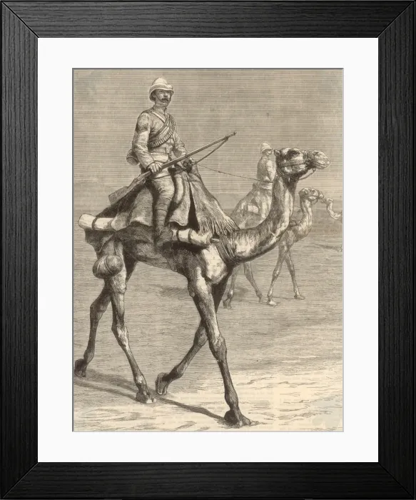 Framed Print : Trooper on a Camel / 1884 Framed Print : Trooper on a Camel / 1884