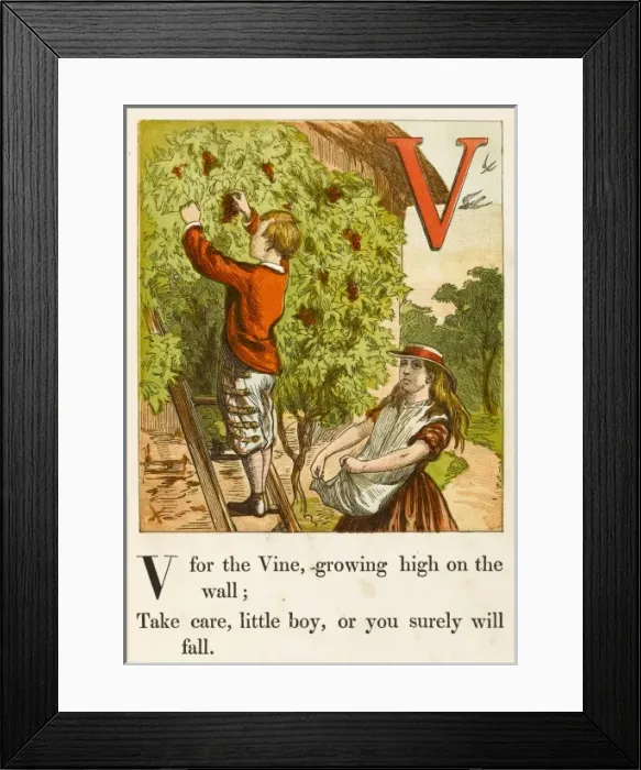 Framed Print : Alphabet / V for Vine Framed Print : Alphabet / V for Vine