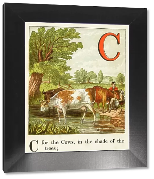 Animals  /  Cattle  /  Alphabet
