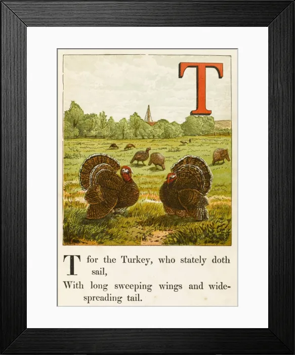 Framed Print : Alphabet / T for Turkey Framed Print : Alphabet / T for Turkey