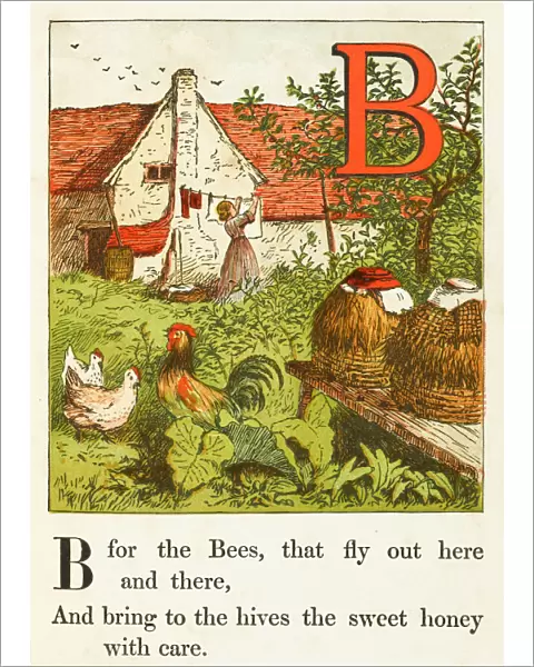 Alphabet  /  B for Bees