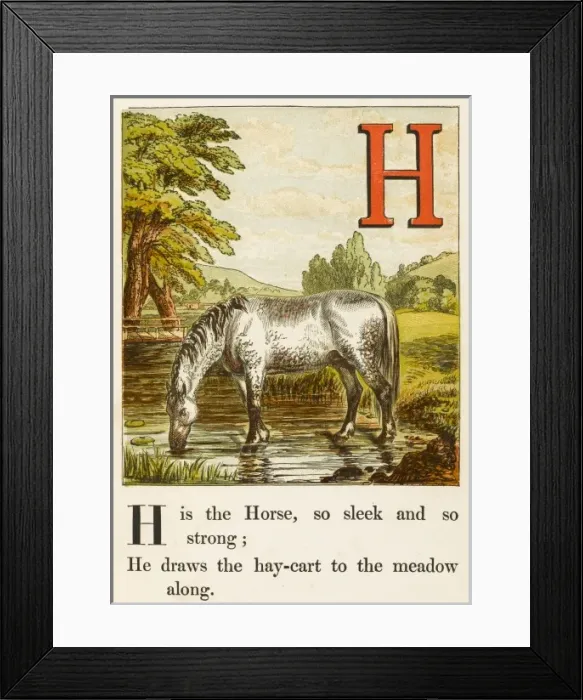 Framed Print : Alphabet / H for Horse Framed Print : Alphabet / H for Horse