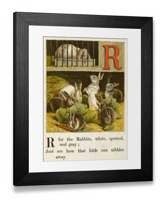 Framed Print : Alphabet / R for Rabbits Framed Print : Alphabet / R for Rabbits