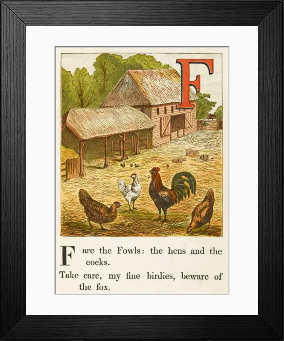 Framed Print : Alphabet / F for Fowl Framed Print : Alphabet / F for Fowl