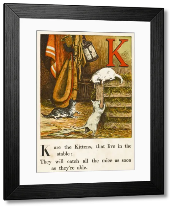 Framed Print : Alphabet / K for Kittens Framed Print : Alphabet / K for Kittens