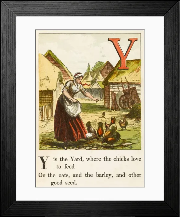 Framed Print : Alphabet / Y for Yard Framed Print : Alphabet / Y for Yard