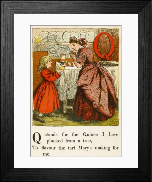 Framed Print : Alphabet / Q for Quince Framed Print : Alphabet / Q for Quince
