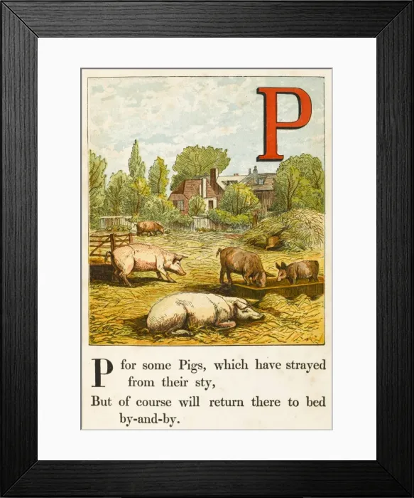 Framed Print : Animals / Pigs / Alphabet Framed Print : Animals / Pigs / Alphabet