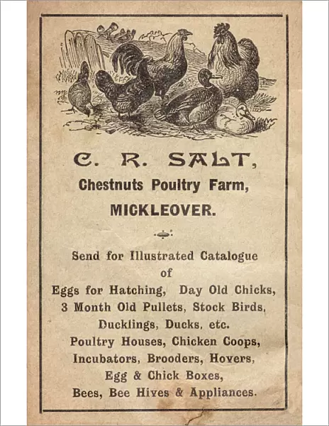 Advertisement for poultry farm, Mickleover, Derby