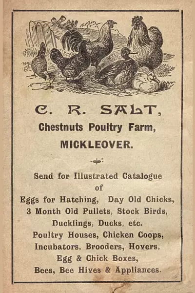 Advertisement for poultry farm, Mickleover, Derby