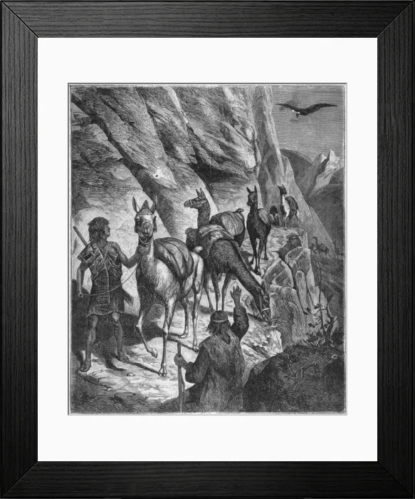 Framed Print : Transport / By Llama Framed Print : Transport / By Llama