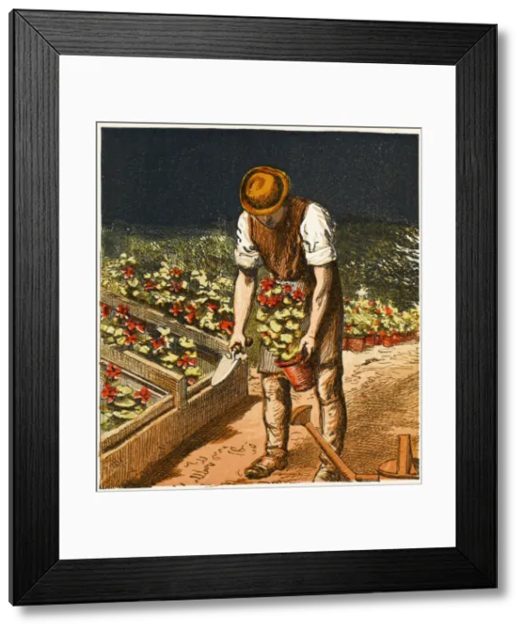 Framed Print : Gardens / Operations / 1867 Framed Print : Gardens / Operations / 1867