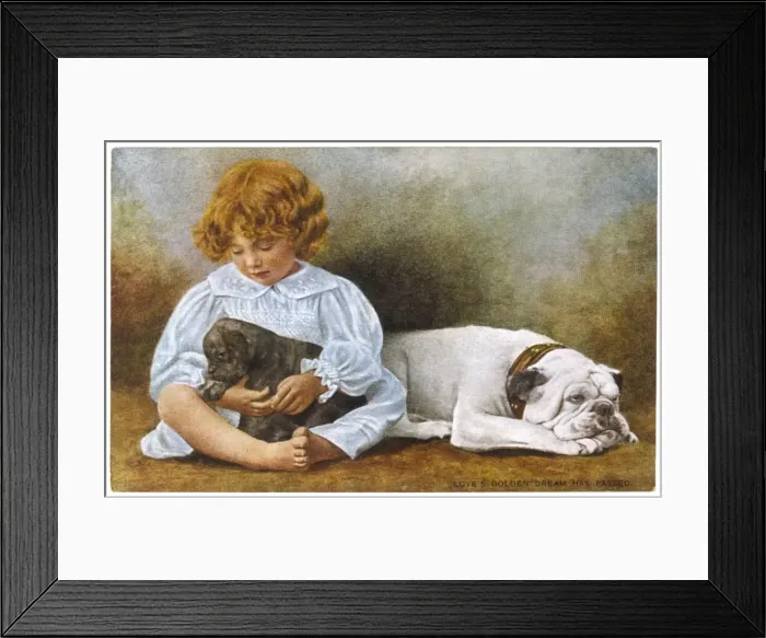 Framed Print : BULLDOG. A little girl sits with a white bulldog and cuddles a puppy Framed Print : BULLDOG. A little girl sits with a white bulldog and cuddles a puppy