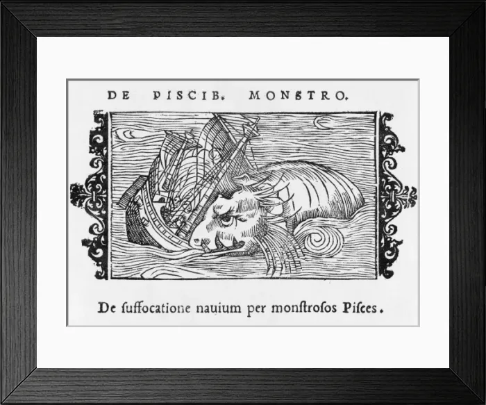 Framed Print : Sea Serpent Norway Framed Print : Sea Serpent Norway