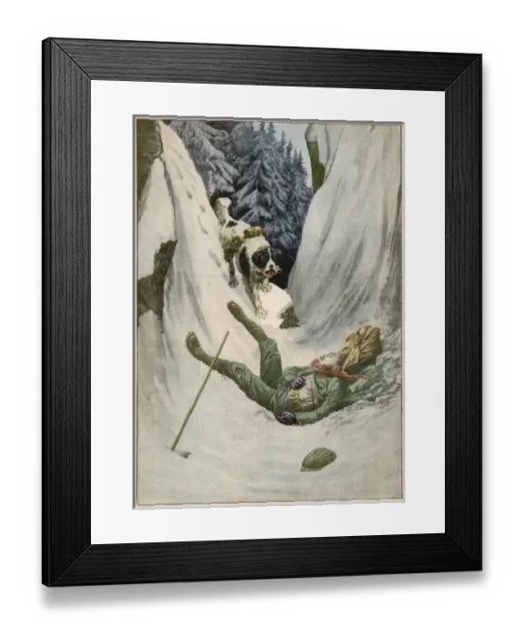 Framed Print : Dog Rescues Climber Framed Print : Dog Rescues Climber