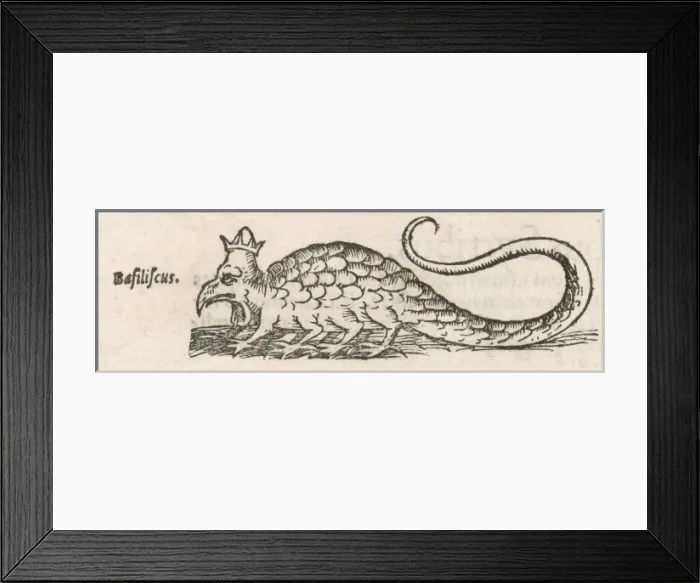 Framed Print : Folklore / Basilisk Framed Print : Folklore / Basilisk